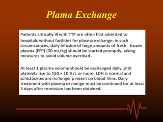Plama Exchange
 