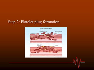 Step 2: Platelet plug formation
 