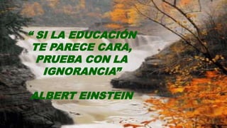 “ SI LA EDUCACIÓN
 TE PARECE CARA,
  PRUEBA CON LA
   IGNORANCIA”

ALBERT EINSTEIN

             1
 
