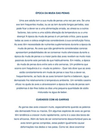 Dicas para o criador !!!