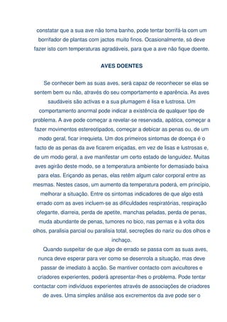 Dicas para o criador !!!