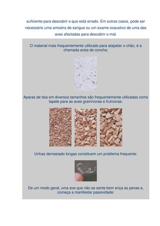 Dicas para o criador !!!