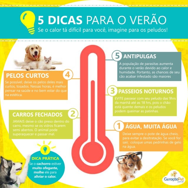 Dicas para cachorro Clearance