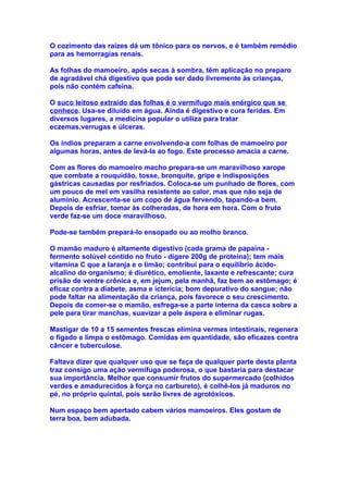 O cozimento das raízes dá um tônico para os nervos, e é também remédio
para as hemorragias renais.

As folhas do mamoeiro, após secas à sombra, têm aplicação no preparo
de agradável chá digestivo que pode ser dado livremente às crianças,
pois não contém cafeína.

O suco leitoso extraído das folhas é o vermífugo mais enérgico que se
conhece. Usa-se diluído em água. Ainda é digestivo e cura feridas. Em
diversos lugares, a medicina popular o utiliza para tratar
eczemas,verrugas e úlceras.

Os índios preparam a carne envolvendo-a com folhas de mamoeiro por
algumas horas, antes de levá-la ao fogo. Este processo amacia a carne.

Com as flores do mamoeiro macho prepara-se um maravilhoso xarope
que combate a rouquidão, tosse, bronquite, gripe e indisposições
gástricas causadas por resfriados. Coloca-se um punhado de flores, com
um pouco de mel em vasilha resistente ao calor, mas que não seja de
alumínio. Acrescenta-se um copo de água fervendo, tapando-a bem.
Depois de esfriar, tomar às colheradas, de hora em hora. Com o fruto
verde faz-se um doce maravilhoso.

Pode-se também prepará-lo ensopado ou ao molho branco.

O mamão maduro é altamente digestivo (cada grama de papaína -
fermento solúvel contido no fruto - digere 200g de proteína); tem mais
vitamina C que a laranja e o limão; contribui para o equilíbrio ácido-
alcalino do organismo; é diurético, emoliente, laxante e refrescante; cura
prisão de ventre crônica e, em jejum, pela manhã, faz bem ao estômago; é
eficaz contra a diabete, asma e icterícia; bom depurativo do sangue; não
pode faltar na alimentação da criança, pois favorece o seu crescimento.
Depois de comer-se o mamão, esfrega-se a parte interna da casca sobre a
pele para tirar manchas, suavizar a pele áspera e eliminar rugas.

Mastigar de 10 a 15 sementes frescas elimina vermes intestinais, regenera
o fígado e limpa o estômago. Comidas em quantidade, são eficazes contra
câncer e tuberculose.

Faltava dizer que qualquer uso que se faça de qualquer parte desta planta
traz consigo uma ação vermífuga poderosa, o que bastaria para destacar
sua importância. Melhor que consumir frutos do supermercado (colhidos
verdes e amadurecidos à força no carbureto), é colhê-los já maduros no
pé, no próprio quintal, pois serão livres de agrotóxicos.

Num espaço bem apertado cabem vários mamoeiros. Eles gostam de
terra boa, bem adubada.
 