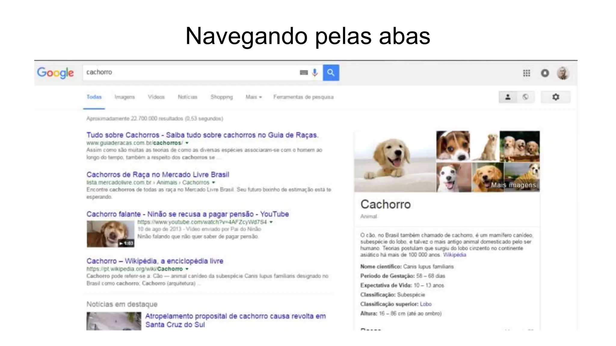 Navegando pelas abas
