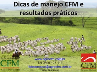 Dicas de manejo CFM e
  resultados práticos




         www.agrocfm.com.br
          Tel 0800 127 111
    faleconosco@agrocfm.com.br
           Twitter @agrocfm
 