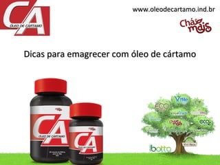 www.oleodecartamo.ind.br




Dicas para emagrecer com óleo de cártamo
 
