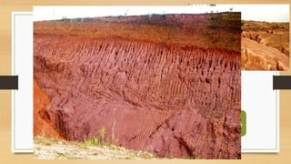 Problemas Ambientais
• Desmatamento
Erosão do
solo
Lixiviação Laterização
 