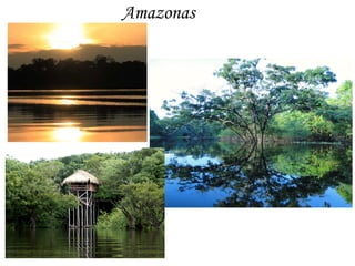 Amazonas