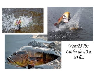 Vara25 lbs
Linha de 40 a
50 lbs