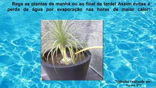 Rega as plantas de manhã ou ao final da tarde! Assim evitas a
perda de água por evaporação nas horas de maior calor!
Trabalho realizado por:
Turma 8º2
 