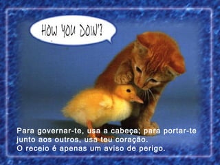 Para governar-te, usa a cabeça; para portar-te junto aos outros, usa teu coração. O receio é apenas um aviso de perigo.  