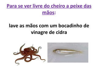 Para se ver livre do cheiro a peixe das mãos : lave as mãos com um bocadinho de vinagre de cidra 