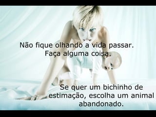Não fique olhando a vida passar.  Faça alguma coisa. Se quer um bichinho de estimação, escolha um animal abandonado. 