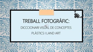 TREBALL FOTOGRÀFIC:
DICCCIONARI VISUAL DE CONCEPTES
PLÀSTICS I LAND ART
 