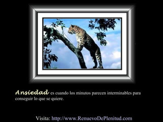 Ansiedad es cuando los minutos parecen interminables para
conseguir lo que se quiere.
Visita: http://www.RenuevoDePlenitud.com
 
