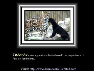 Interés es un signo de exclamación o de interrogación en el
final del sentimiento.
Visita: http://www.RenuevoDePlenitud.com
 