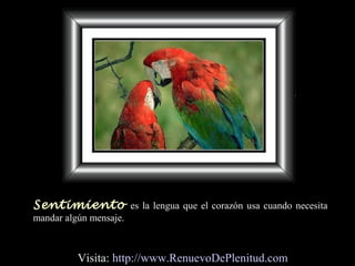 Sentimiento es la lengua que el corazón usa cuando necesita
mandar algún mensaje.
Visita: http://www.RenuevoDePlenitud.com
 