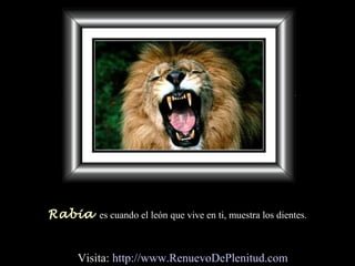 Rabia es cuando el león que vive en ti, muestra los dientes.
Visita: http://www.RenuevoDePlenitud.com
 