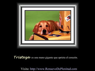 Tristeza es una mano gigante que aprieta el corazón.
Visita: http://www.RenuevoDePlenitud.com
 
