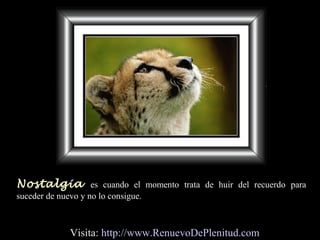 Nostalgia es cuando el momento trata de huir del recuerdo para
suceder de nuevo y no lo consigue.
Visita: http://www.RenuevoDePlenitud.com
 