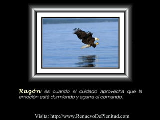Razón es cuando el cuidado aprovecha que la
emoción está durmiendo y agarra el comando.
Visita: http://www.RenuevoDePlenitud.com
 