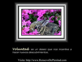 Voluntad es un deseo que nos incentiva a
hacer nuevos descubrimientos.
Visita: http://www.RenuevoDePlenitud.com
 