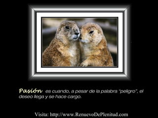 Pasión es cuando, a pesar de la palabra “peligro”, el
deseo llega y se hace cargo.
Visita: http://www.RenuevoDePlenitud.com
 