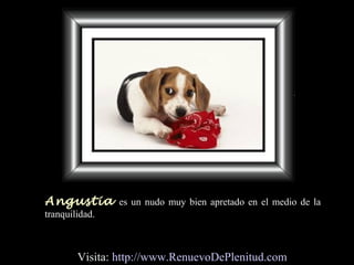 Angustia es un nudo muy bien apretado en el medio de la
tranquilidad.
Visita: http://www.RenuevoDePlenitud.com
 