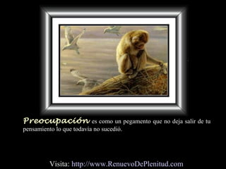 Preocupación es como un pegamento que no deja salir de tu
pensamiento lo que todavía no sucedió.
Visita: http://www.RenuevoDePlenitud.com
 
