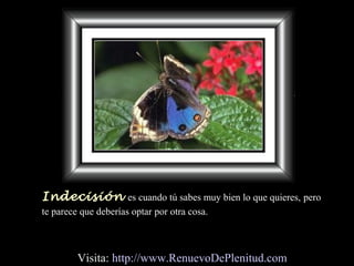 Indecisión es cuando tú sabes muy bien lo que quieres, pero
te parece que deberías optar por otra cosa.
Visita: http://www.RenuevoDePlenitud.com
 