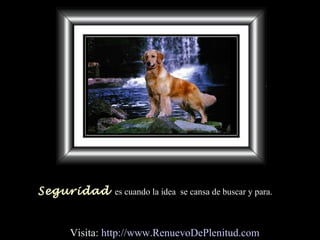 Seguridad es cuando la idea se cansa de buscar y para.
Visita: http://www.RenuevoDePlenitud.com
 