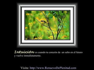 Intuición es cuando tu corazón da un salto en el futuro
y vuelve inmediatamente.
Visita: http://www.RenuevoDePlenitud.com
 