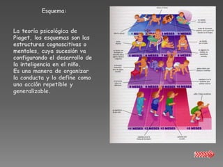 Esquema:


La teoría psicológica de
Piaget, los esquemas son las
estructuras cognoscitivas o
mentales, cuya sucesión va
configurando el desarrollo de
la inteligencia en el niño.
Es una manera de organizar
la conducta y lo define como
una acción repetible y
generalizable.
 