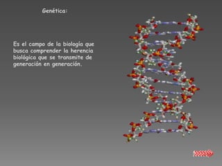 Genética:




Es el campo de la biología que
busca comprender la herencia
biológica que se transmite de
generación en generación.
 