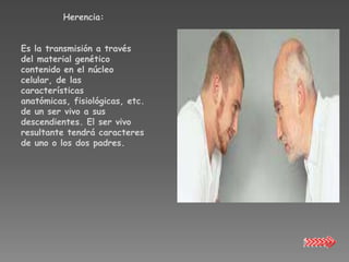 Herencia:


Es la transmisión a través
del material genético
contenido en el núcleo
celular, de las
características
anatómicas, fisiológicas, etc.
de un ser vivo a sus
descendientes. El ser vivo
resultante tendrá caracteres
de uno o los dos padres.
 