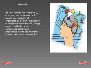 Memoria:


Es una función del cerebro y,
a la vez, un fenómeno de la
mente que permite al
organismo codificar, almacenar
y recuperar información. Surge
como resultado de las
conexiones sinápticas
repetitivas entre las neuronas,
lo que crea redes neuronales.
 
