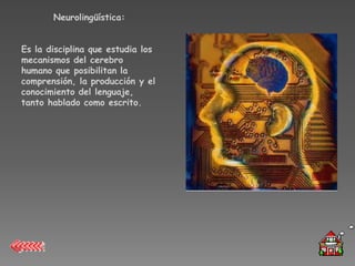 Neurolingüística:


Es la disciplina que estudia los
mecanismos del cerebro
humano que posibilitan la
comprensión, la producción y el
conocimiento del lenguaje,
tanto hablado como escrito.
 