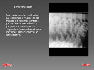 Sensopercepcion:


Son todos aquellos estímulos
que recibimos a través de los
órganos de nuestros sentidos
que se llaman sensaciones y
que para se convierten en
respuestas (percepciones) para
proyectar posteriormente un
conocimiento.
 
