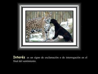 Interés   es un signo de exclamación o de interrogación en el final del sentimiento. 