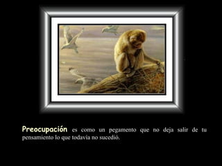 Preocupación   es como un pegamento   que no deja  salir de tu pensamiento lo que todavía no sucedió. 