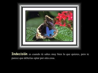 Indecisión   es cuando   tú sabes muy bien lo que quieres,  pero te parece  que deberías optar  por  otra cosa.   