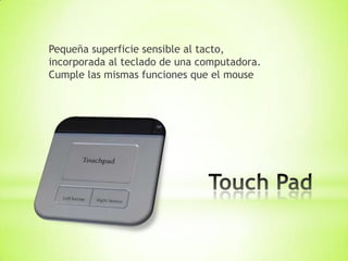 Pequeña superficie sensible al tacto,
incorporada al teclado de una computadora.
Cumple las mismas funciones que el mouse
 
