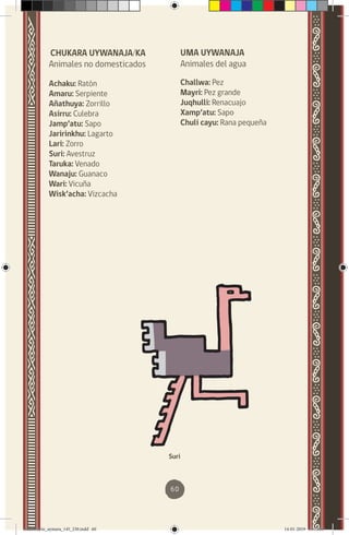 60
CHUKARA UYWANAJA/KA
Animales no domesticados
Achaku: Ratón
Amaru: Serpiente
Añathuya: Zorrillo
Asirru: Culebra
Jamp’atu: Sapo
Jaririnkhu: Lagarto
Lari: Zorro
Suri: Avestruz
Taruka: Venado
Wanaju: Guanaco
Wari: Vicuña
Wisk’acha: Vizcacha
Suri
UMA UYWANAJA
Animales del agua
Challwa: Pez
Mayri: Pez grande
Juqhulli: Renacuajo
Xamp’atu: Sapo
Chuli cayu: Rana pequeña
diccionario_aymara_145_230.indd 60 14-01-2019 13:13:50
 
