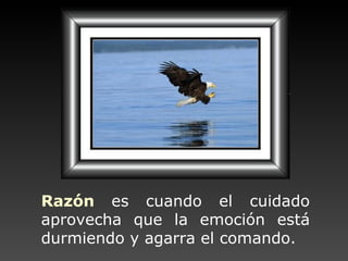 Razón   es cuando el cuidado  aprovecha que la emoción  está durmiendo y agarra el comando. 