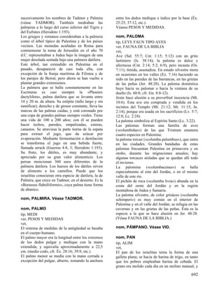 Diccionario biblico