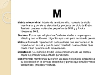 M
Matriz mitocondrial: interior de la mitocondria, rodeado de doble
membrana, y donde se efectúan los procesos del ciclo de Krebs.
También contiene moléculas pequeñas de DNA y y RNA y
ribosomas 70 S.
Medusa: Forma que adoptan los Cnidarios similar a un paraguas
abierto y con tentáculos colgantes que usan para la caza de presas.
Meiosis: forma de reproducción de las células que intervienen en la
reproducción sexual y que da como resultado cuatro células hijas
con la mitad de número de cromosomas.
Meristemo: (Gr. merizein dividir) tejido embrionario de las plantas
capaz de producir otras células por división.
Mesenterios: membranas que unen las asas intestinales ayudando a
su colocación en la cavidad abdominal y por las que circulan vasos
sanguíneos, linfáticos y nervios.
 