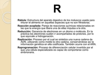 R
Rádula: Estructura del aparato digestivo de los moluscos usada para
triturar el alimento en aquellas especies que no son filtradoras.
Reacción acoplada: Pareja de reacciones químicas relacionadas en
las que la energía que libera una de ellas impulsa a la otra.
Reducción: Ganancia de electrones en un átomo o molécula. En la
práctica los electrones suelen ir acompañados de protones, por lo
que equivale a hidrogenación.
Replicación: Proceso por el cual se sintetiza una nueva cadena de
ADN, utilizando como molde la otra cadena, conservándose así la
información genética en ella codificada. También ocurre con el ARN.
Reprogramación: Proceso de diferenciación celular invertida por el
que una célula especializada es capaz de comportarse como
embrionaria.
 