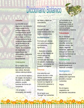 Diccionario botánico 