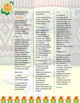 Diccionario botánico 